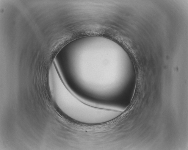 X0000087330017200704200732