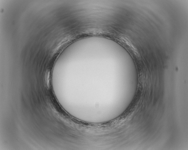 X0000087330024200704200732