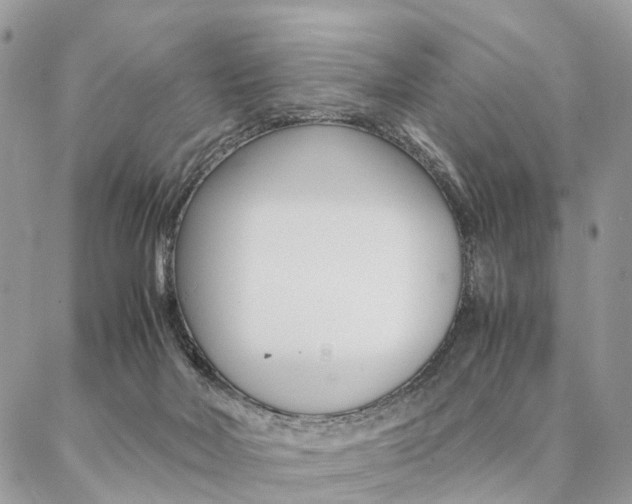 X0000087330026200704200732