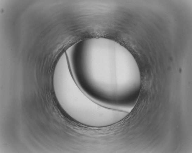 X0000087330027200704200732