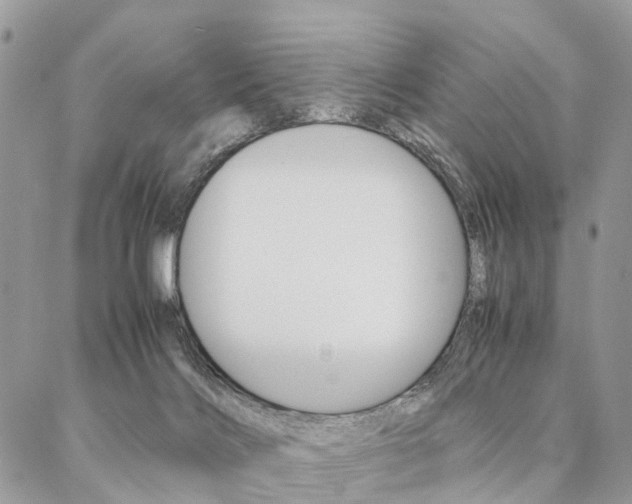 X0000087330028200704200732