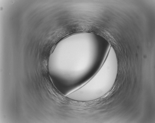 X0000087330045200704200731