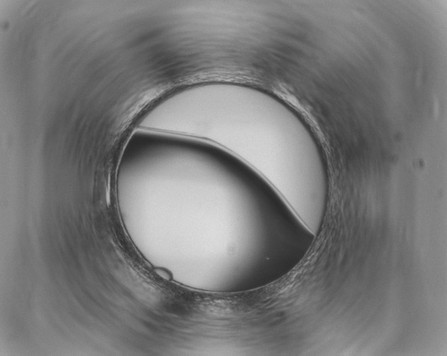 X0000087330062200704200731