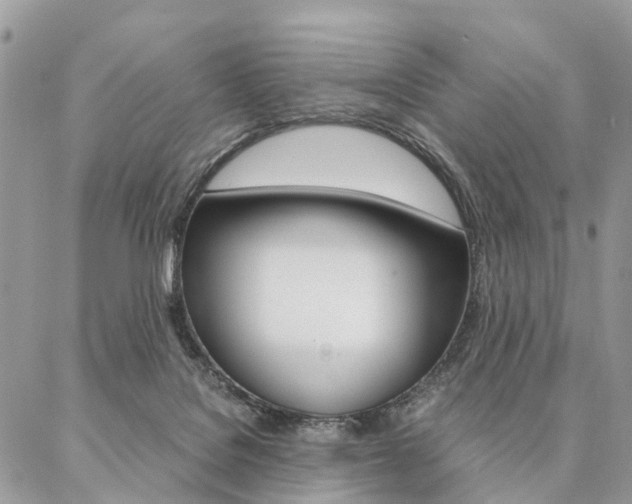 X0000087330076200704200731