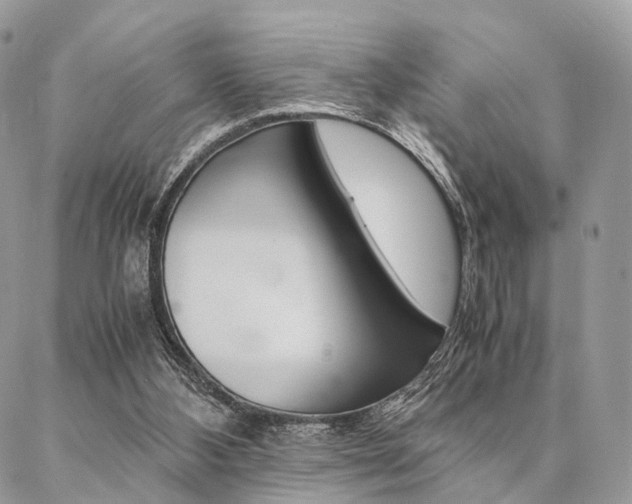 X0000087330108200704200730