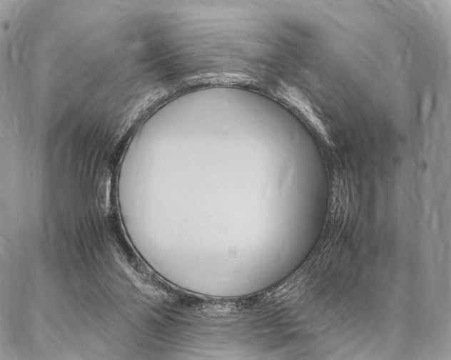 X0000087330110200704200730