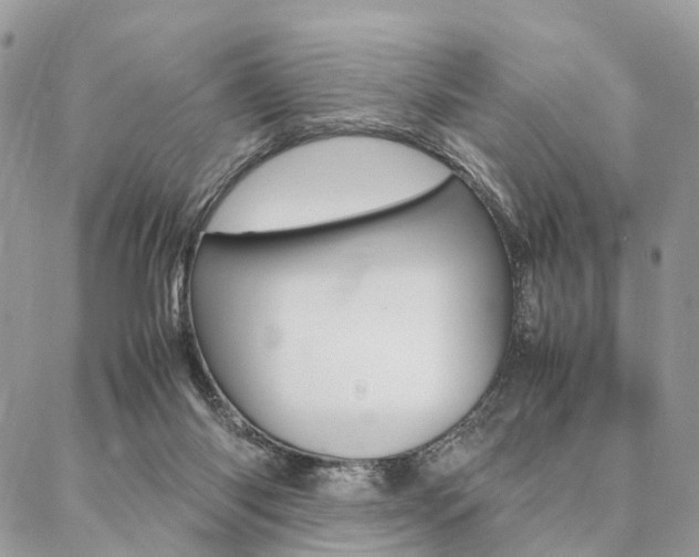 X0000087330118200704200730