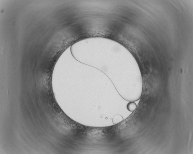 X0000087330162200704200729