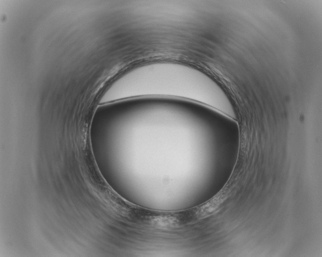 X0000087330168200704200729