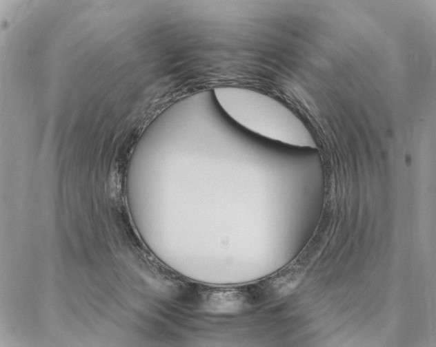 X0000087330173200704200729