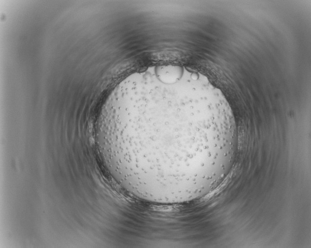 X0000087330187200704200730