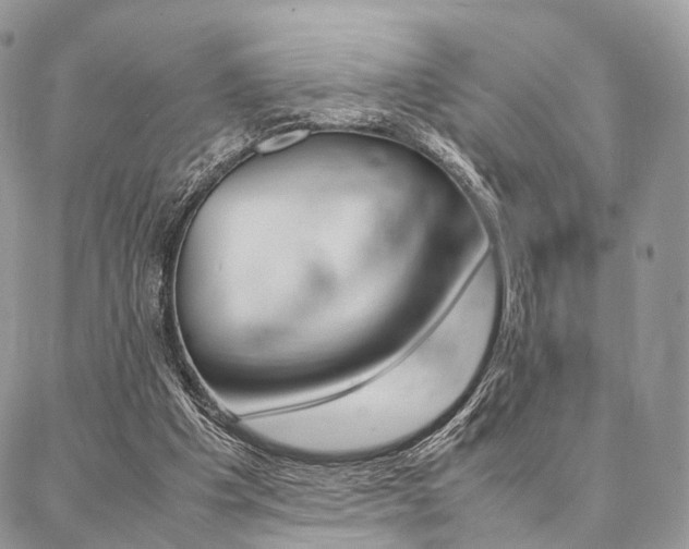 X0000087330201200704200729