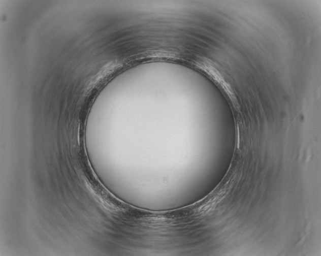 X0000087330253200704200727