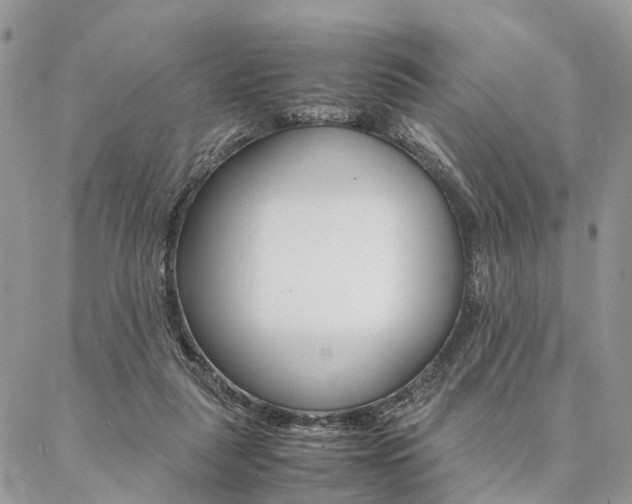 X0000087330259200704200728