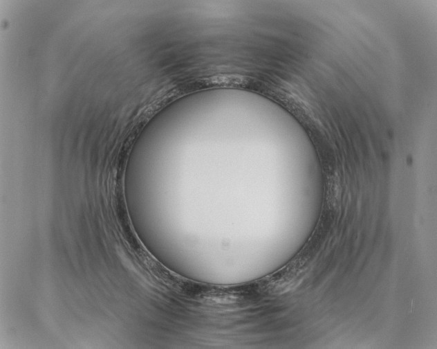 X0000087330263200704200728