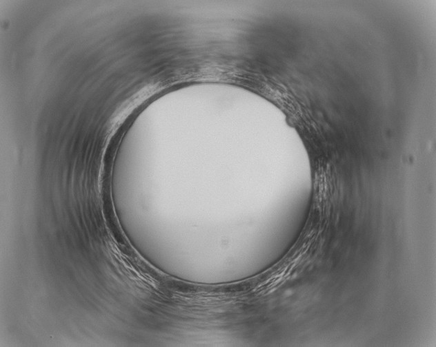 X0000087330292200704200727