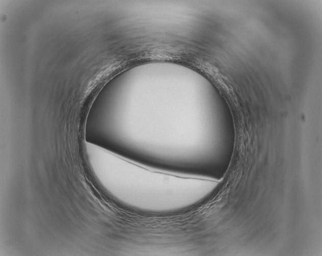 X0000087330299200704200727