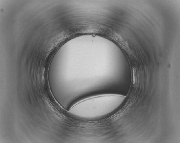 X0000087330300200704200727