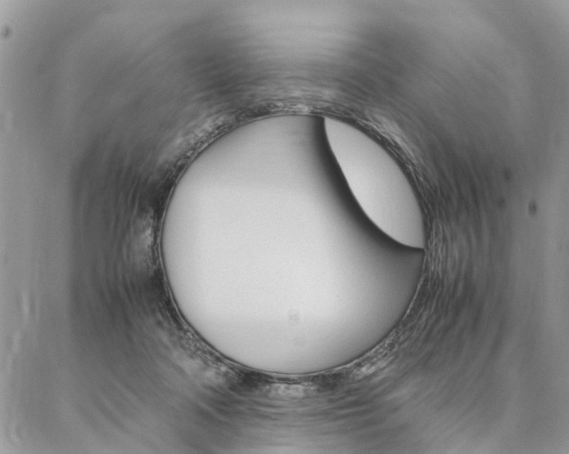 X0000087330314200704200727