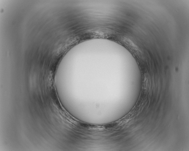 X0000087330318200704200727