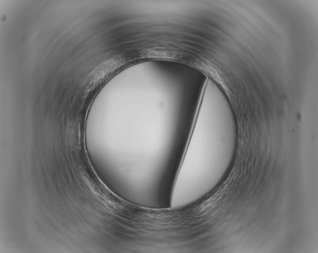X0000087330349200704200726