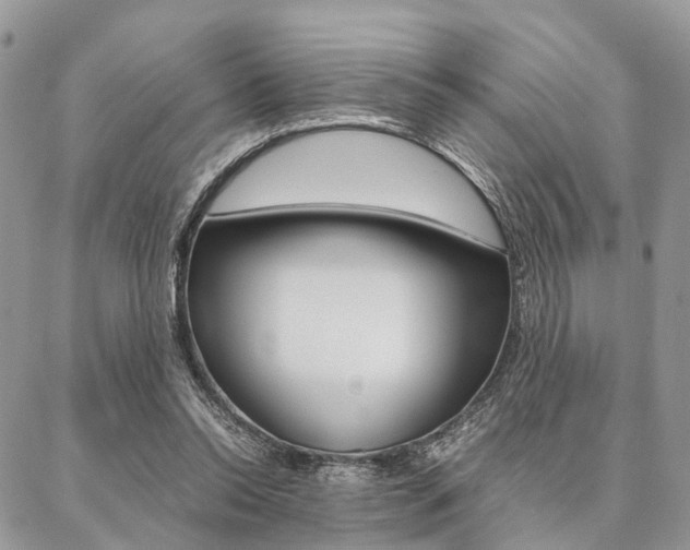 X0000087330350200704200726