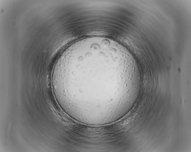 X0000087330351200704200726