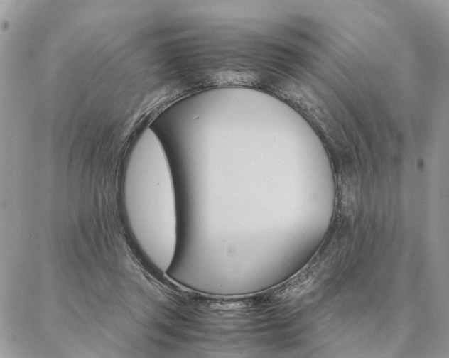 X0000087330357200704200726