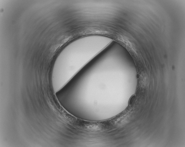 X0000087330358200704200726