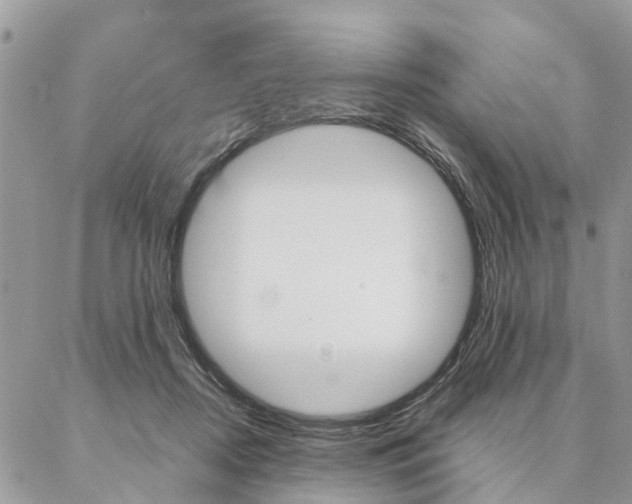 X0000087330362200704200726