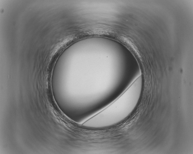 X0000087330395200704200726
