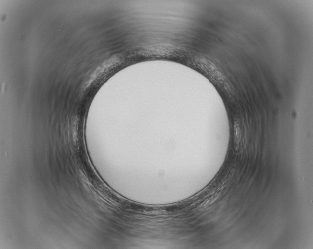 X0000087330396200704200726