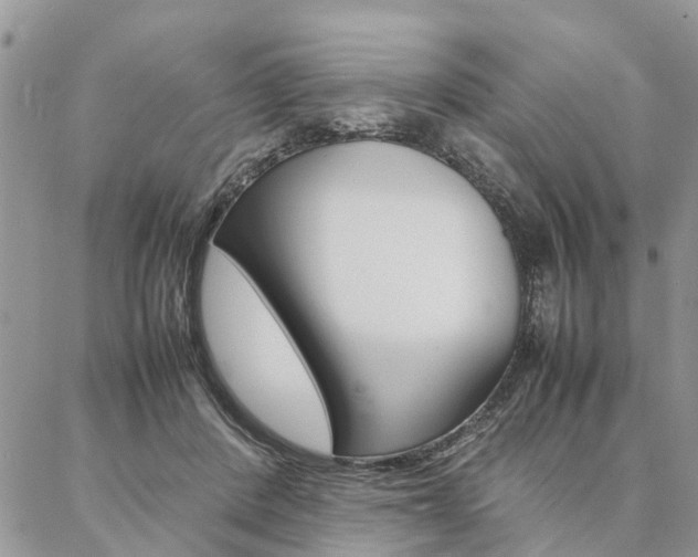 X0000087330408200704200725