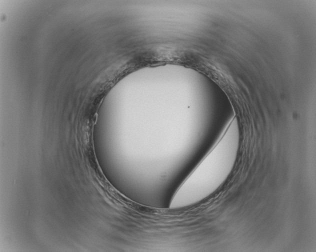 X0000087330413200704200725