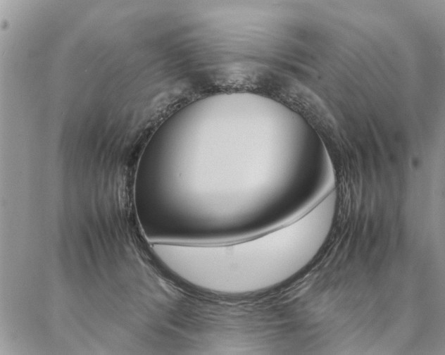 X0000087330416200704200725