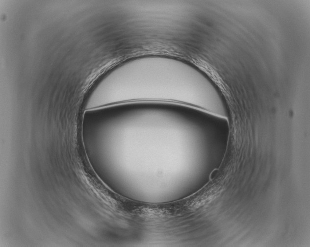X0000087330442200704200724