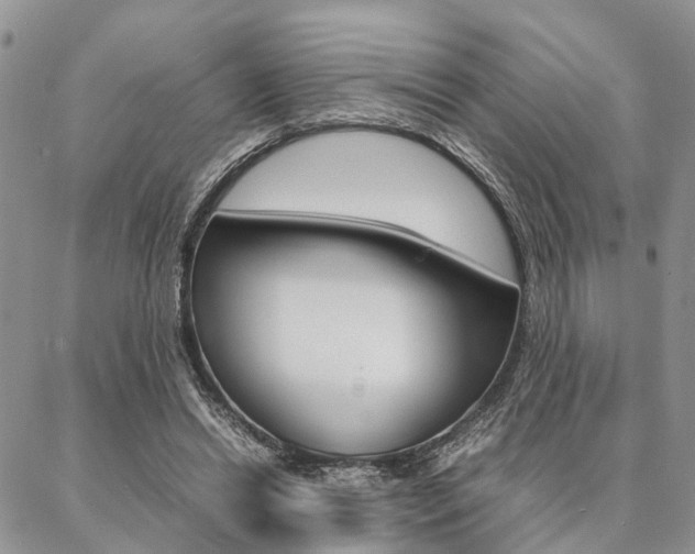X0000087330446200704200724