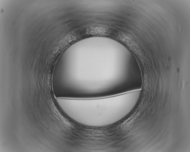 X0000087330449200704200724
