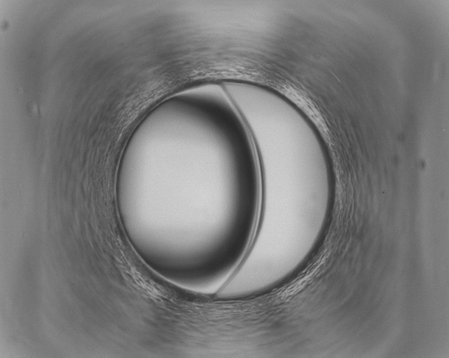 X0000087330481200704200724