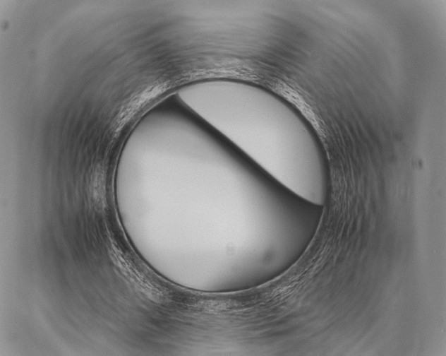 X0000087330482200704200724