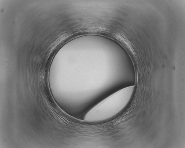 X0000087330483200704200724