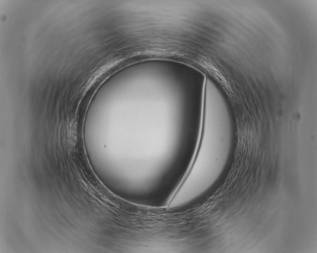 X0000087330484200704200724