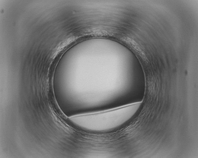 X0000087330488200704200724