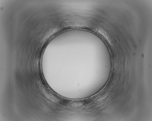 X0000087330491200704200724