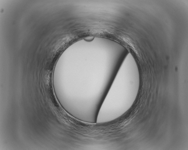 X0000087330495200704200724
