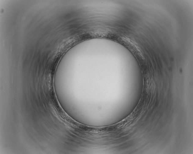 X0000087330498200704200724