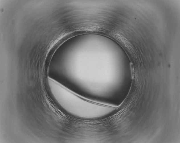 X0000087330532200704200723