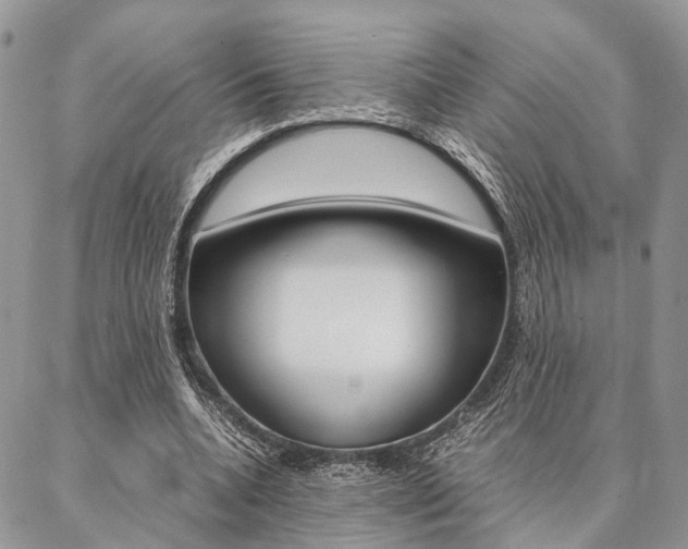 X0000087330536200704200723