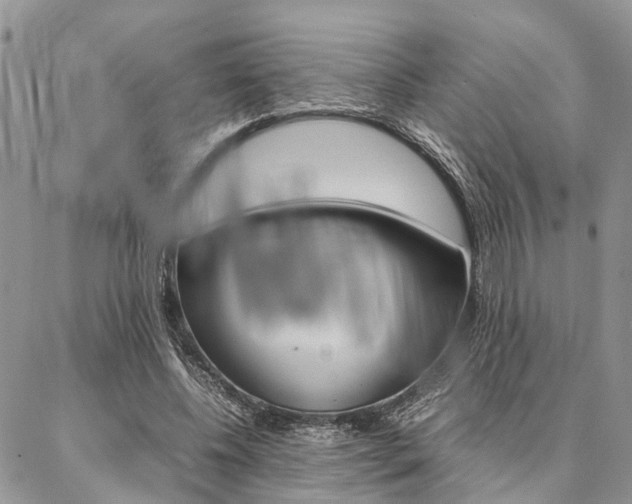 X0000087330540200704200723