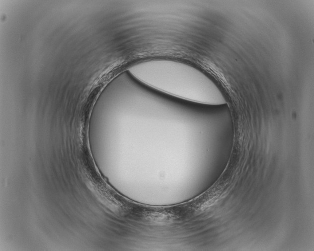 X0000087330542200704200723